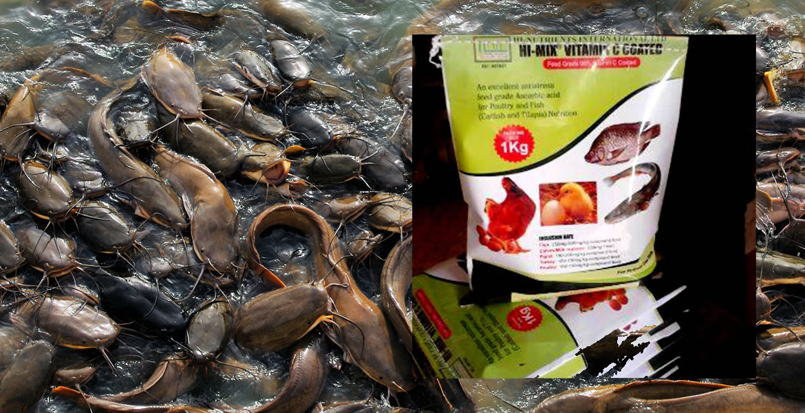 Aquaculture Products / Fish Premixes